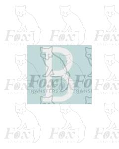 Loco/DMU Train Reporting Alpha-Numerics 38.8mm high