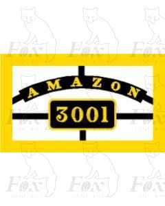 3001 AMAZON
