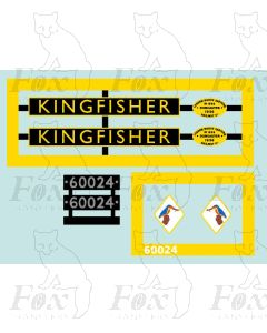 60024 KINGFISHER