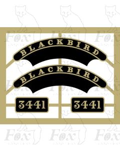 3441 BLACKBIRD