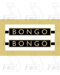 61005  BONGO