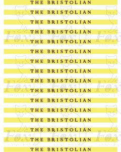 Coachboards - THE BRISTOLIAN - multicolour