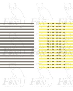 Coachboards - THE BRISTOLIAN - multicolour
