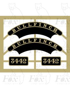 3442 BULLFINCH