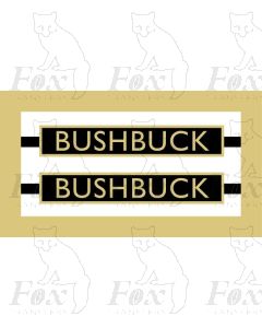 1017  BUSHBUCK