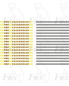 Coachboard - THE CALEDONIAN
