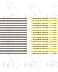 Coachboards - CAPITALS UNITED EXPRESS - multicolour
