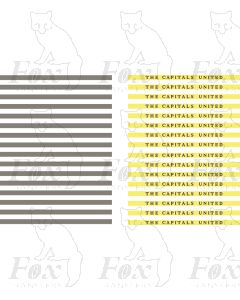 Coachboards - THE CAPITALS UNITED  - multicolour