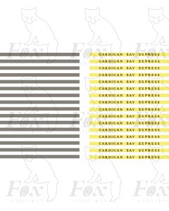 Coachboards - CARDIGAN BAY EXPRESS - multicolour