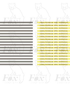 Coachboards - CHELTENHAM SPA EXPRESS - multicolour