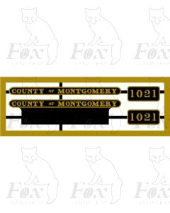 1021 COUNTY OF MONTGOMERY