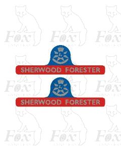 45060 SHERWOOD FORESTER