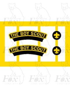 6169  THE BOY SCOUT 