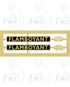60153  FLAMBOYANT