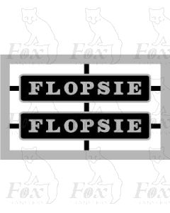 37667 / D6851 FLOPSIE