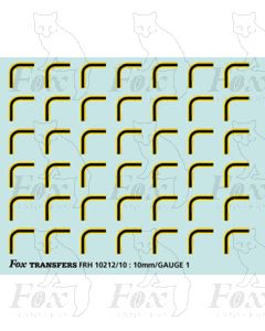 Yellow and black Coach Lining