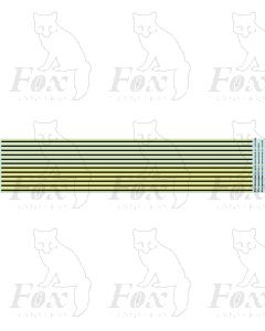 Yellow and black Coach Lining