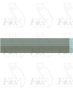 Metallic gold and black Coach Lining