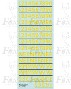 Coach Numbering yellow