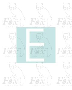 Alpha-Numerics. White 20mm high - 1 x letter E