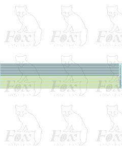 General yellow/black/yellow Lining