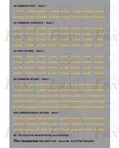 Coach Numbersets yellow
