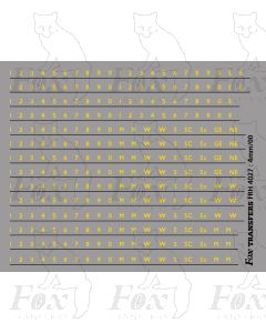 Coach Numbering yellow
