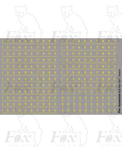 Coach Numbering yellow