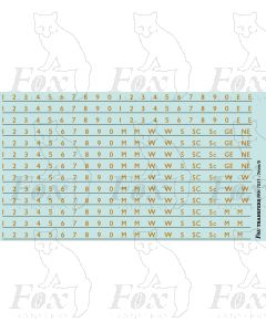 Coach Numbering old gold