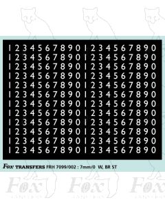 Smokebox Numbering WR and BR