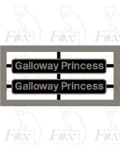 47593 Galloway Princess