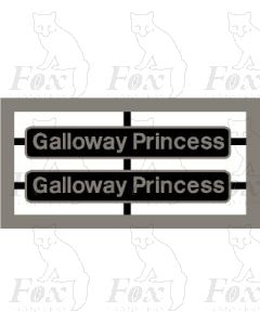 47593 Galloway Princess