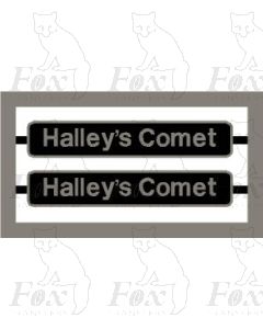 86504 Halleys Comet