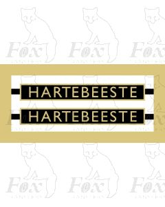 1009  HARTEBEESTE