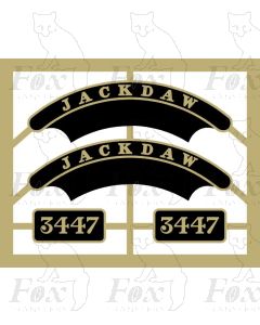 3447 JACKDAW