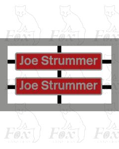 47828 Joe Strummer