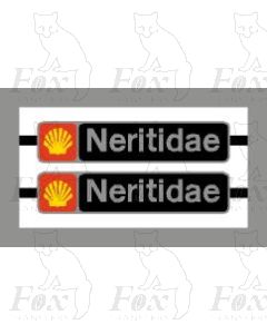 47368 Neritidae
