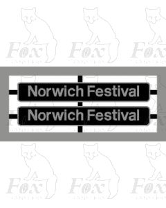 86232 Norwich Festival