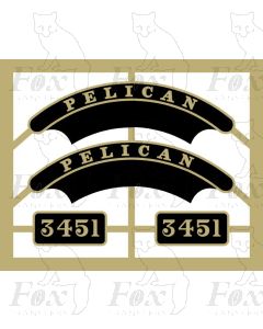 3451 PELICAN