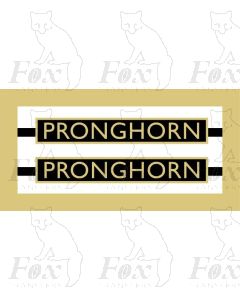 1035  PRONGHORN