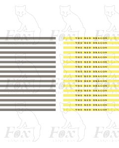 Coachboards - THE RED DRAGON - multicolour