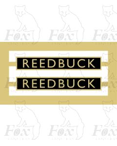 61031 REEDBUCK