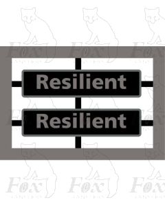 47741 Resilient