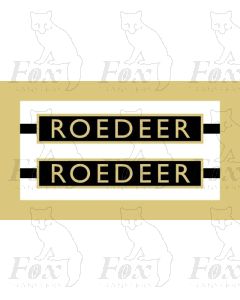 61040 ROEDEER