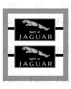 60065 Spirit of JAGUAR