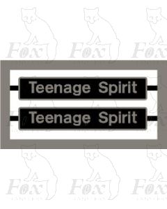 60074 Teenage Spirit