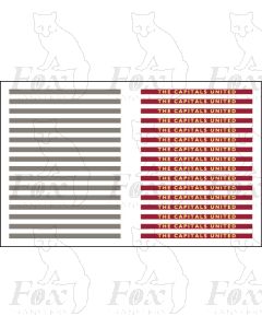 THE CAPITALS UNITED - Steel Coachboards