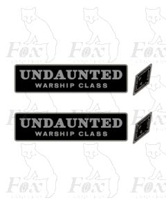 D857 UNDAUNTED