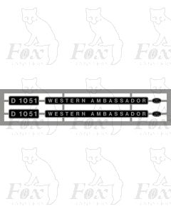 D1051 WESTERN AMBASSADOR