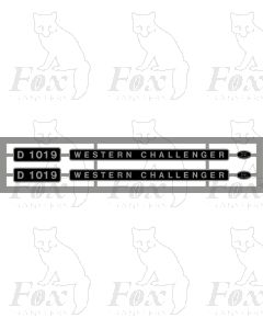 D1019 WESTERN CHALLENGER